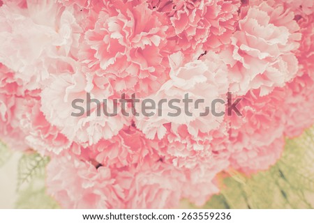 Blooming flower on wooden table.