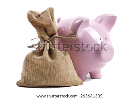Piggy Bank and money bag with coins on white background