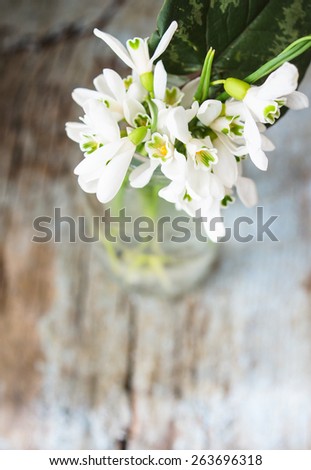 Bouquet of the first spring flowers - snowdrops, on the wooden background