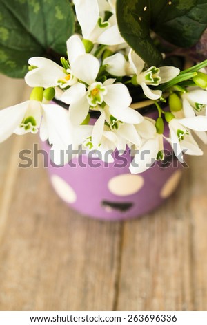 Bouquet of the first spring flowers - snowdrops, on the wooden background