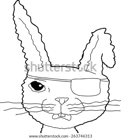 Close up of pirate rabbit with eye patch