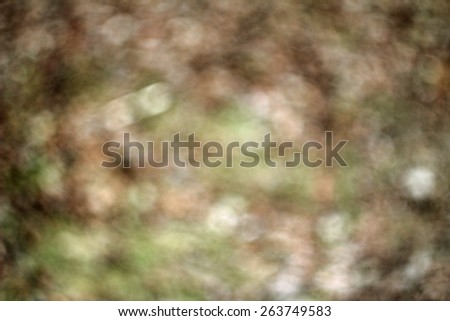 Blurred leaves background