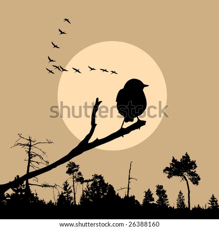illustration of the bird on branch