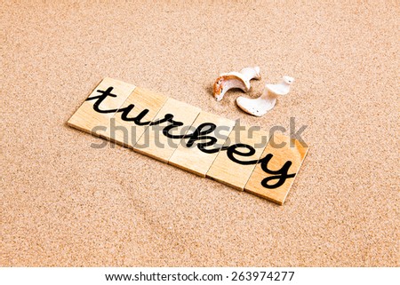 Words formed from small pieces of wood containing a sun and beach tourist destination, turkey