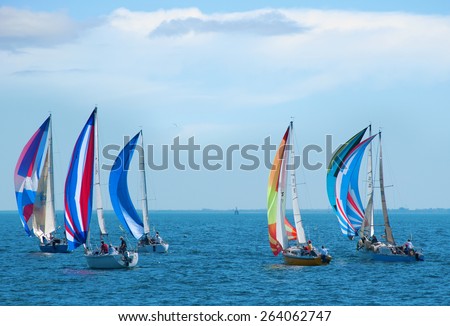 Sailboat regatta race with colorful spinnaker sails up on a beautiful sunny morning. Royalty-Free Stock Photo #264062747