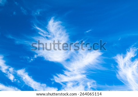 sky and cloud - white fluffy heavenly blue up high air bright daylight