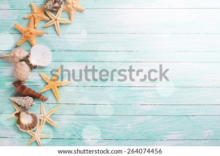 Different marine items in ray of light  on turquoise wooden background. Sea objects - shells, sea stars on wooden planks. Selective focus. 