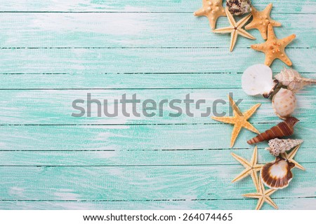 Different marine items on turquoise wooden background. Sea objects - shells, sea stars on wooden planks. Selective focus. 