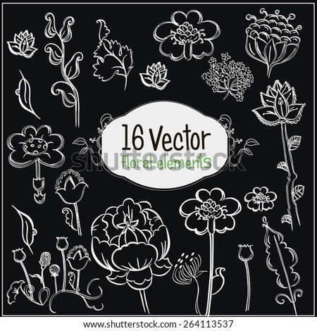 Different floral elements.Vector illustration.