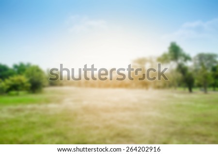 blurred park abstract background