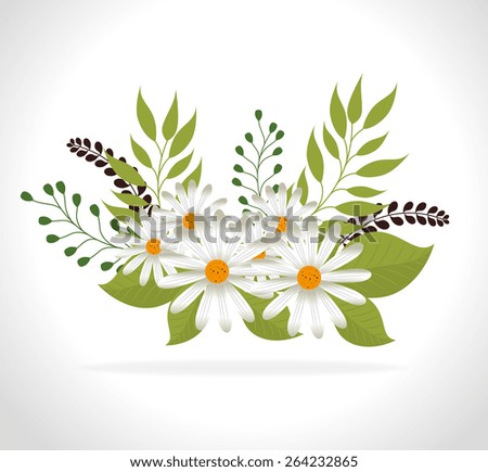 Flowers design over white background, vector illustration.