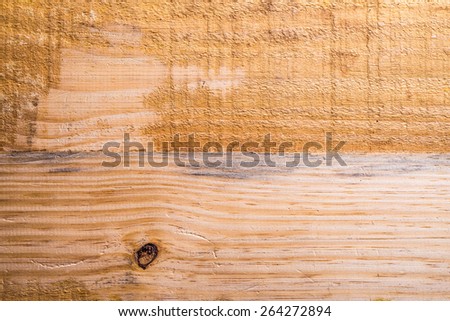 Detail of a light natural plank of pine tree