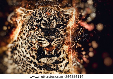 African leopard illustration