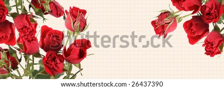 Background with a bouquet of roses of red color and a place for the text.