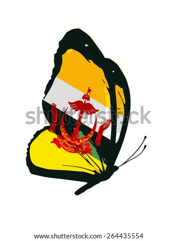 Brunei flag butterfly - vector