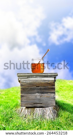 Beehive and a jar of honey on a tree stump on a hillside with green grass, blue sky background.