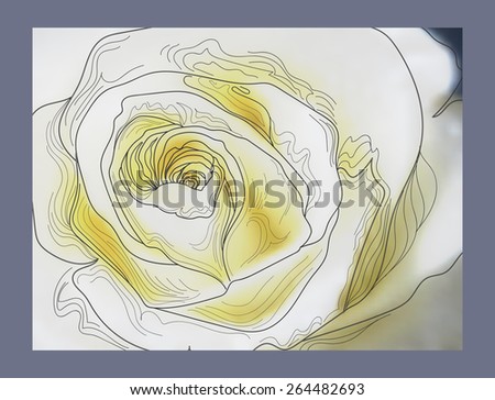 Abstract beautiful rose background vector
