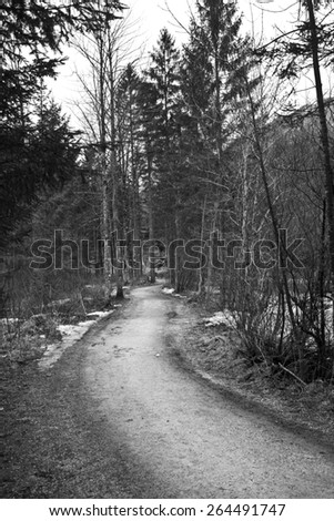 Path in forest in Austria in Black and White