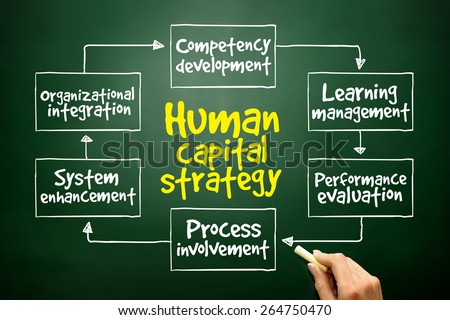 Human capital strategy mind map, business concept