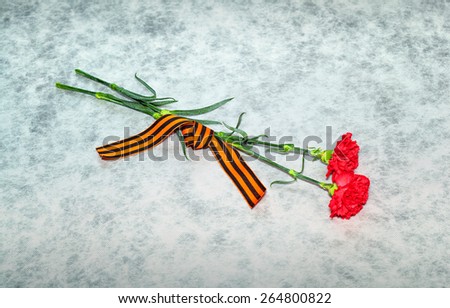 Two carnation flowers and George Ribbon on a light background