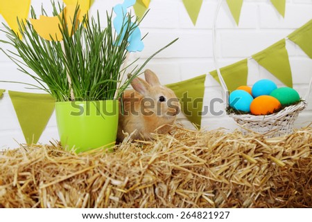small chicken on a haystack, easter still life