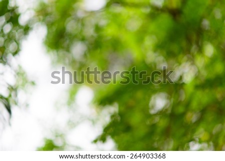 Green blurred background with bokeh