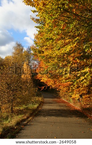 road at Autumn Landscape, beautiful vivid nature