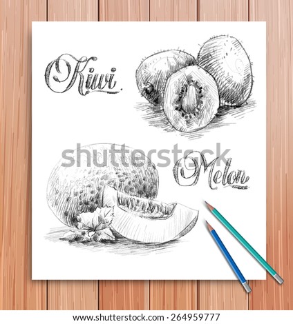 Vector paper with  sketch of fruits kiwi and melon. And colorful pencils on the wooden table. View from above. Realistic illustration