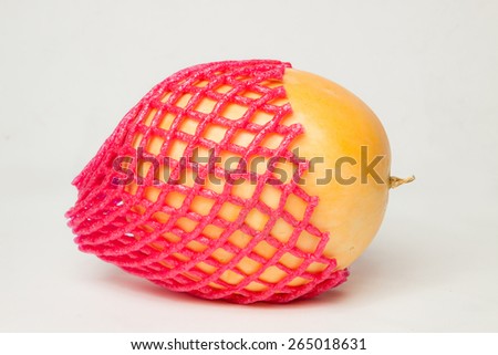Delicious ripe cantaloupe was protected with plastic mesh