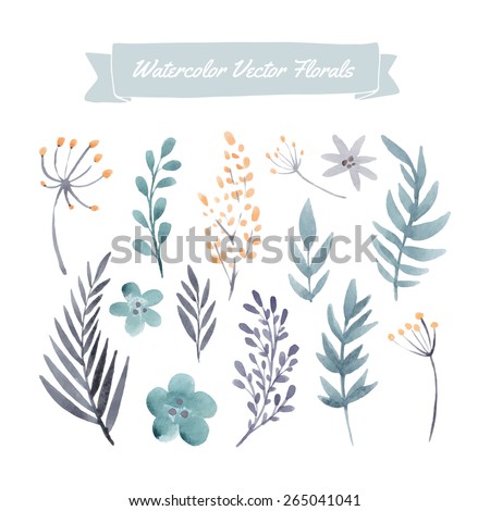 Set of handpainted watercolor vector flowers and leaves. Design element for summer wedding, spring congratulation card. Perfect floral elements for save the date card.  Royalty-Free Stock Photo #265041041