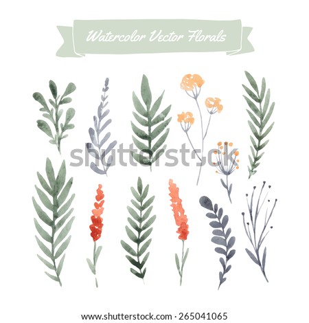 Set of handpainted watercolor vector flowers and leaves. Design element for summer wedding, spring congratulation card. Perfect floral elements for save the date card.  Royalty-Free Stock Photo #265041065