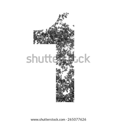 1 Number double exposure with black and white leaves isolated on white background,clipping path
