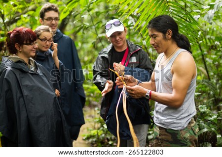 A group of tourists on a guided hike through the lush Amazon jungle in Ecuador, led by a knowledgeable local guide. Royalty-Free Stock Photo #265122803