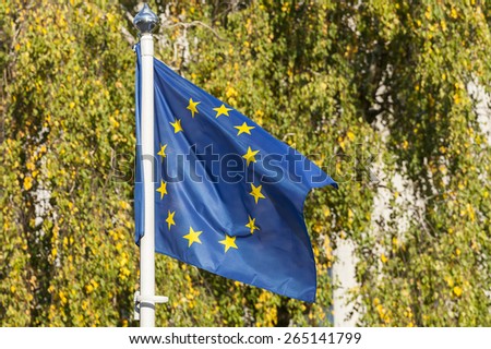 European Union flag  on a background of trees.