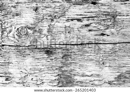 Old wood wall texture background.Black and white photo