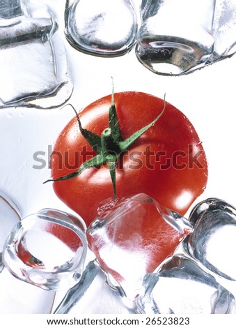 frozen tomato on white background