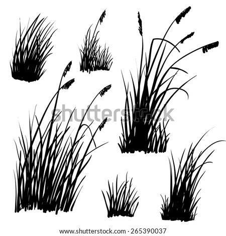 Set of hand drawn beach grass. Vector.