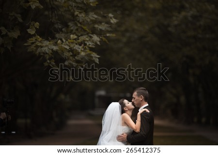 Bride and bridegroom wedding couple walk in the park 