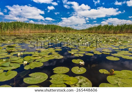 a beautiful lake in Danube Delta, Romania
