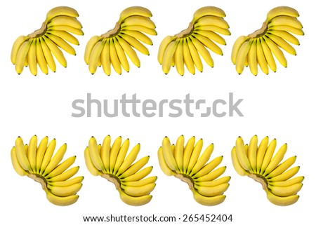 Bright Eight Fresh Yellow Baby Bananas Brunches Isolated on White Background