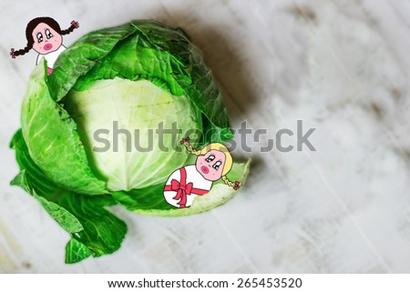 Newborns (darkhaired and blond girls) in the cabbage
