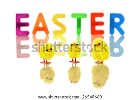 baby chicks reflected in white with colorful easter word in background