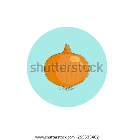 Icon onion, icon vegetable bulb onion, vector illustration