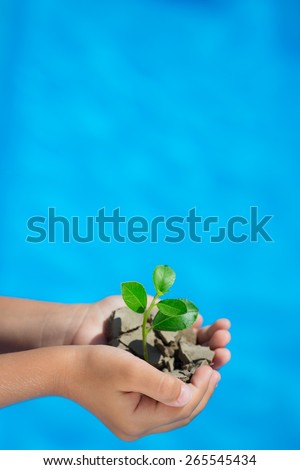 Child holding young green plant against blue sea background. Earth day concept. Copy space for your text