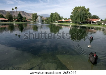 Lake at Luxury Golf Course