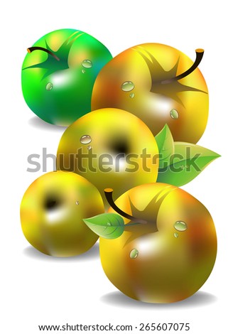 vector fruit leaf illustration apple fresh nature