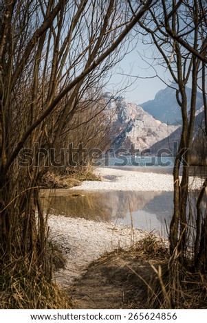 View through young trees on a lake with mountain in the background. taken in salzkammergut, upper austria
