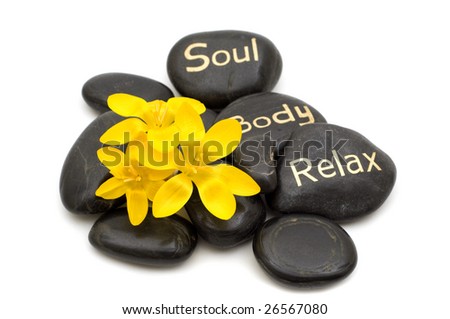 black spa massage stones and flowers on white background