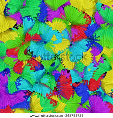Beautiful butterfly pattern background texture made from butterfly's wing.