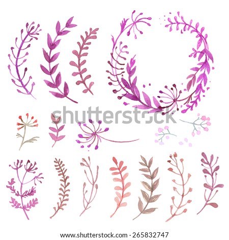 Set of flowers painted in watercolor on white paper. Sketch of flowers and herbs. Wreath, garland of flowers. Vector watercolor